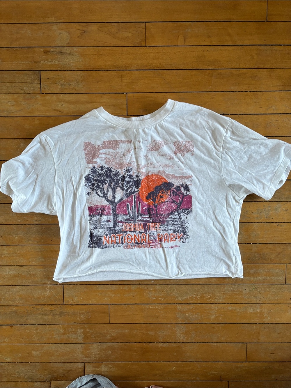 EUC Joshua Tree National Park Graphic Crop Tee - White with Orange & Pink Print